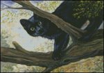 (image for) Treetops